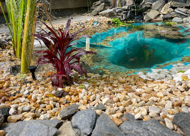Aquatic Plant Care Professionals